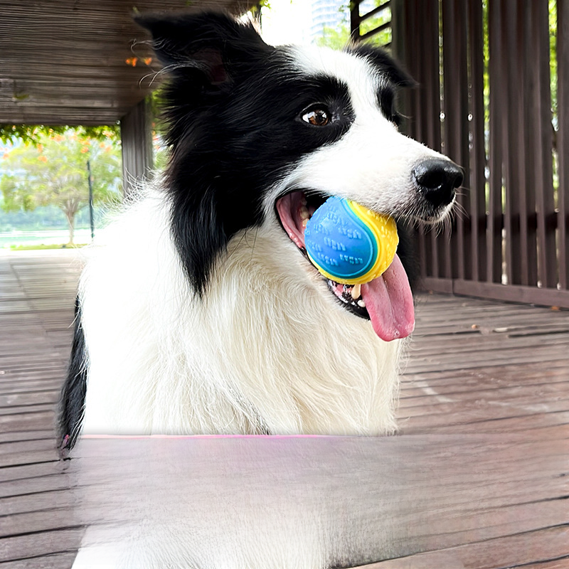 Durable TPR Dog Chew Ball with Sound - Training Toy